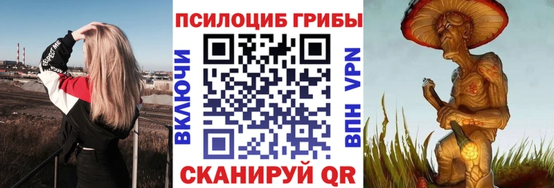 Галлюциногенные грибы Cubensis сколько стоит Северская