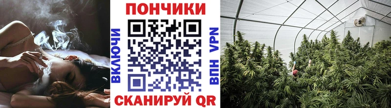 МАРИХУАНА Bruce Banner  Северская 